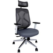 Oxy High Back Ergonomic Mesh Office Chair